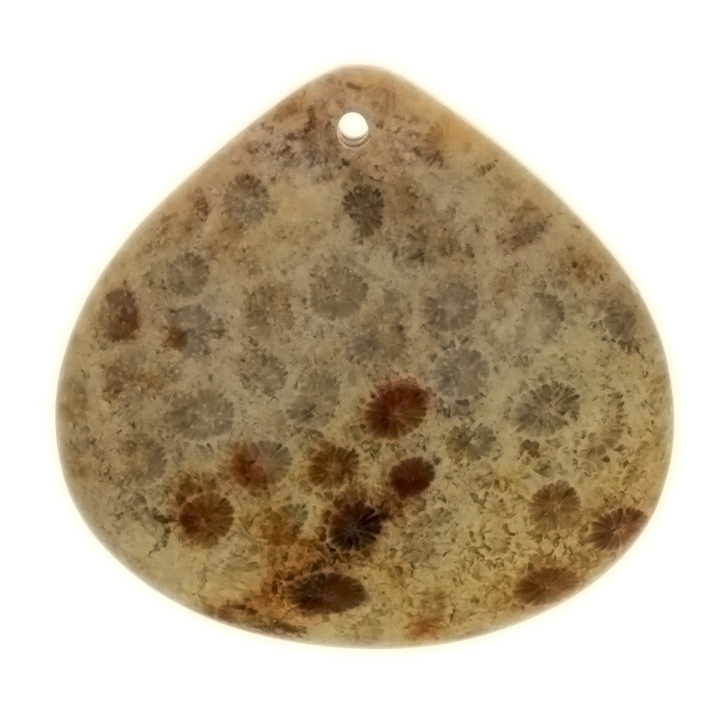 GEMSTONE JASPER FOSSIL CORAL TEARDROP 40 X 40 MM PENDANT